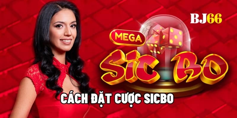 Cách đặt cược Sicbo