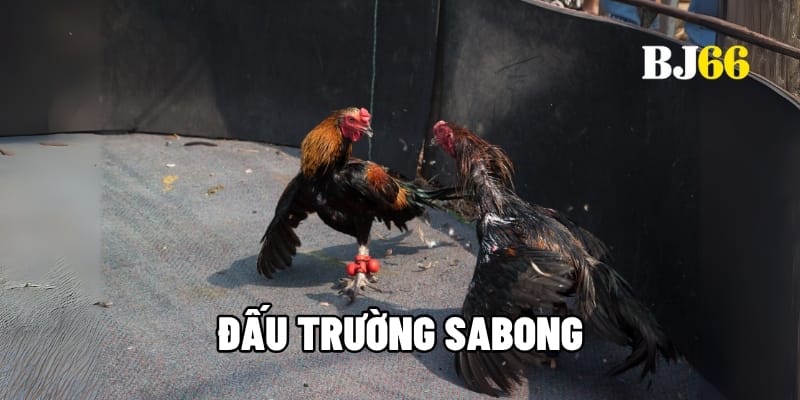 Đấu trường Sabong