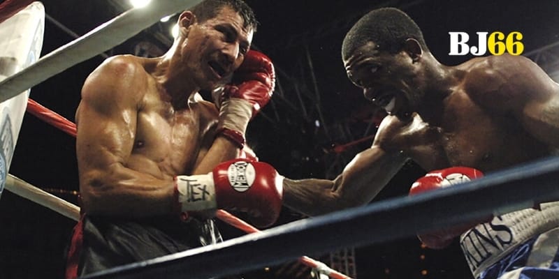 Trải nghiệm tốc độ, tỷ lệ cao và sự minh bạch tại BJ66