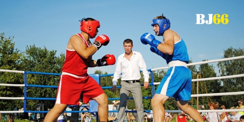 Từng loại kèo quyền anh được trình bày rõ ràng, dễ hiểu