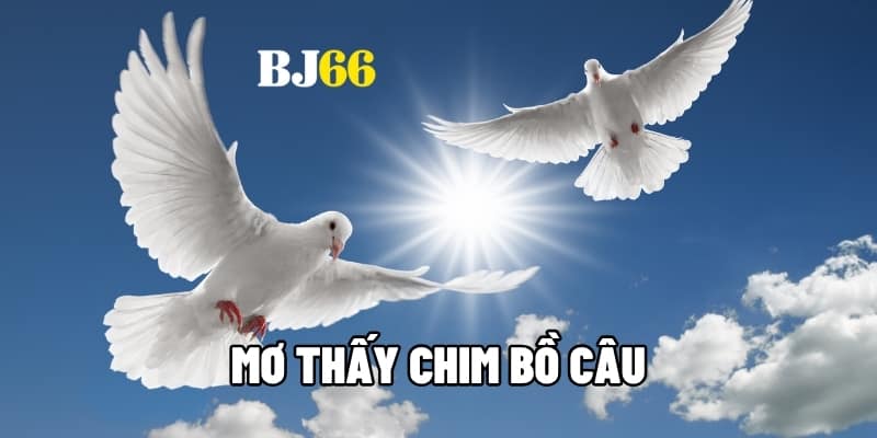 Mơ thấy chim bồ câu