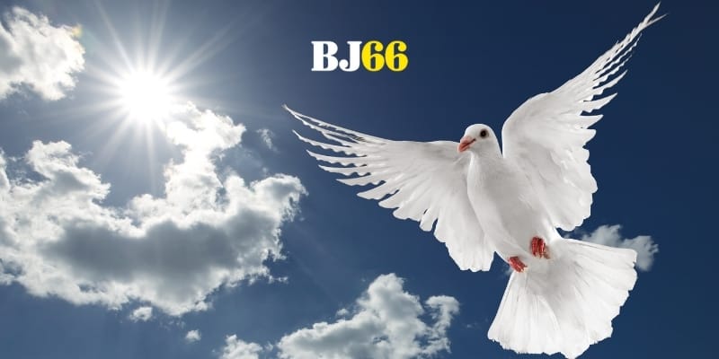 Những con số ẩn hiện sau đôi cánh lành báo vận